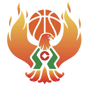 https://img.pgysp.cn/img/basketball/team/09b49d34027e0409a4de3295f8c71a2d.png