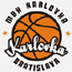 https://img.pgysp.cn/img/basketball/team/0c2f73d2ab7041cf90029a20deff7f17.gif