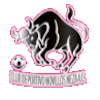 https://img.pgysp.cn/img/football/team/97c3ef30cac48cadff97605e387feefa.png