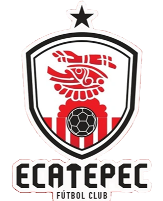 https://img.pgysp.cn/img/football/team/f8fefa1062b7f72982263757680421c0.png